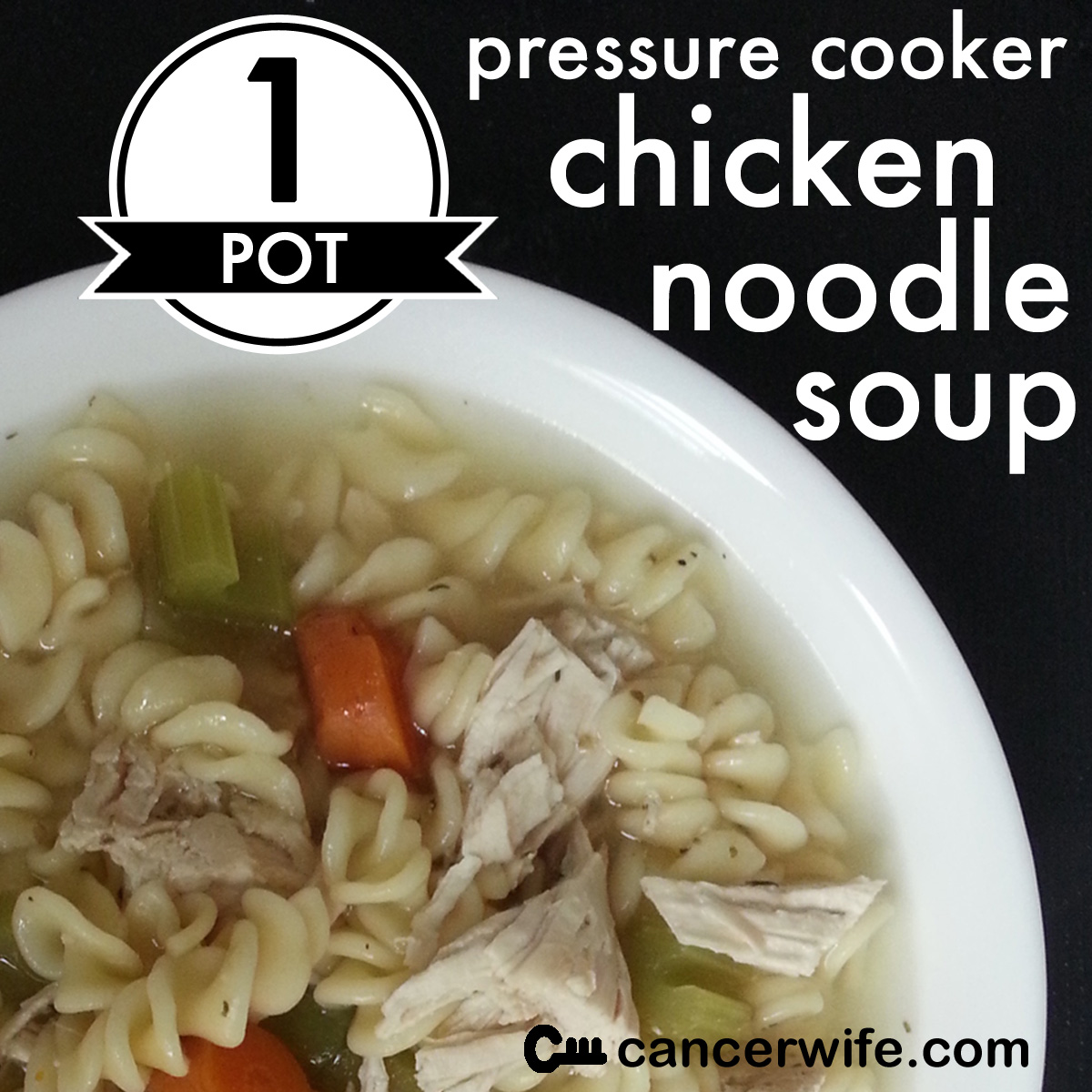 One Pot Pressure Cooker Instant Pot Chicken Noodle Soup recipe, Healthy Eating at Home with Cancerwife
