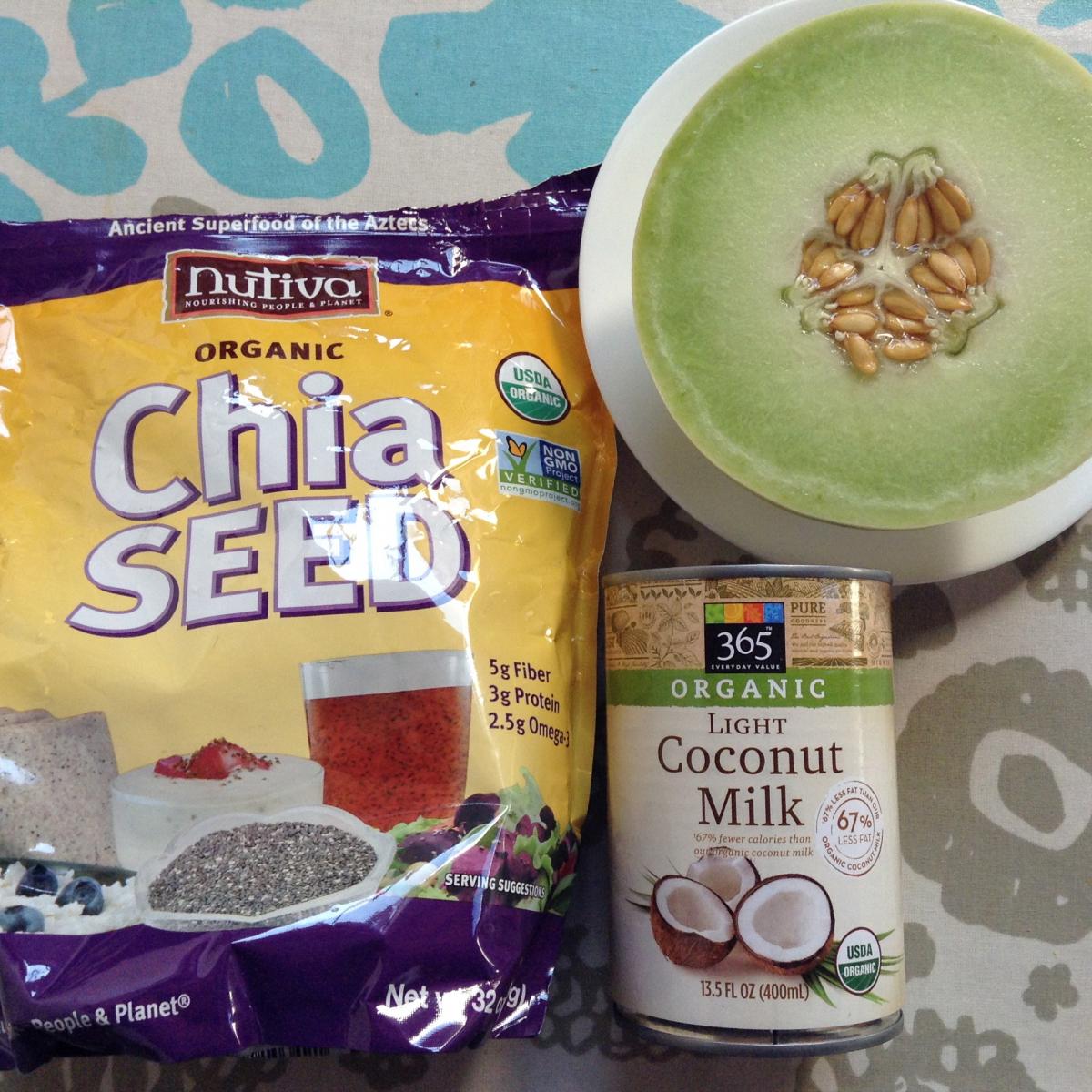 honeydew coconut chia pudding recipe