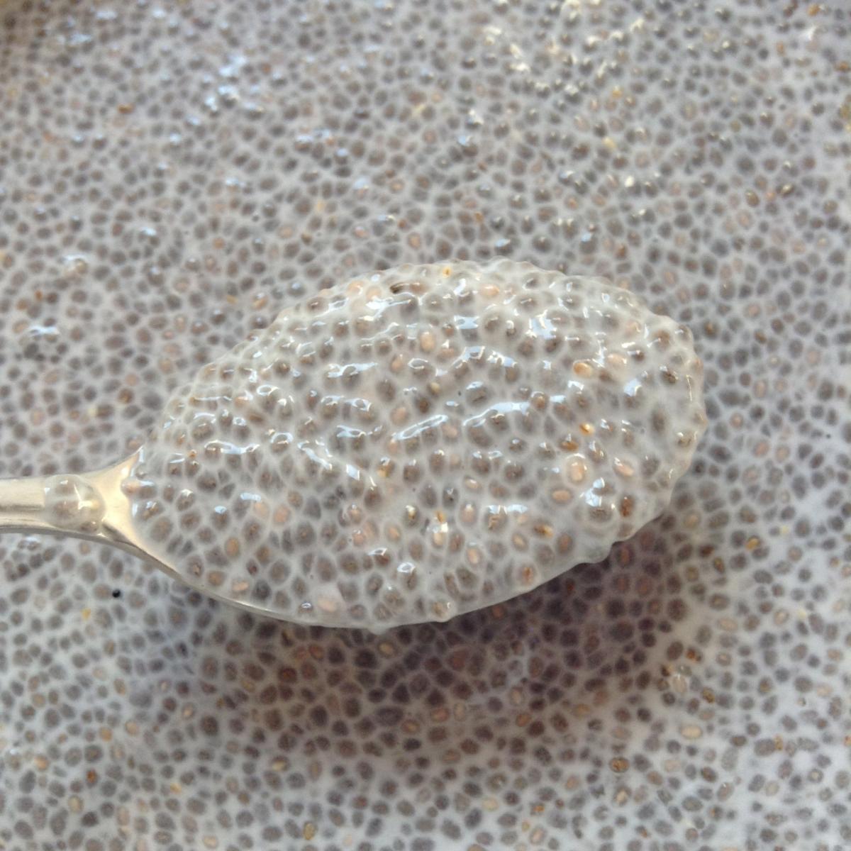 honeydew coconut chia pudding recipe