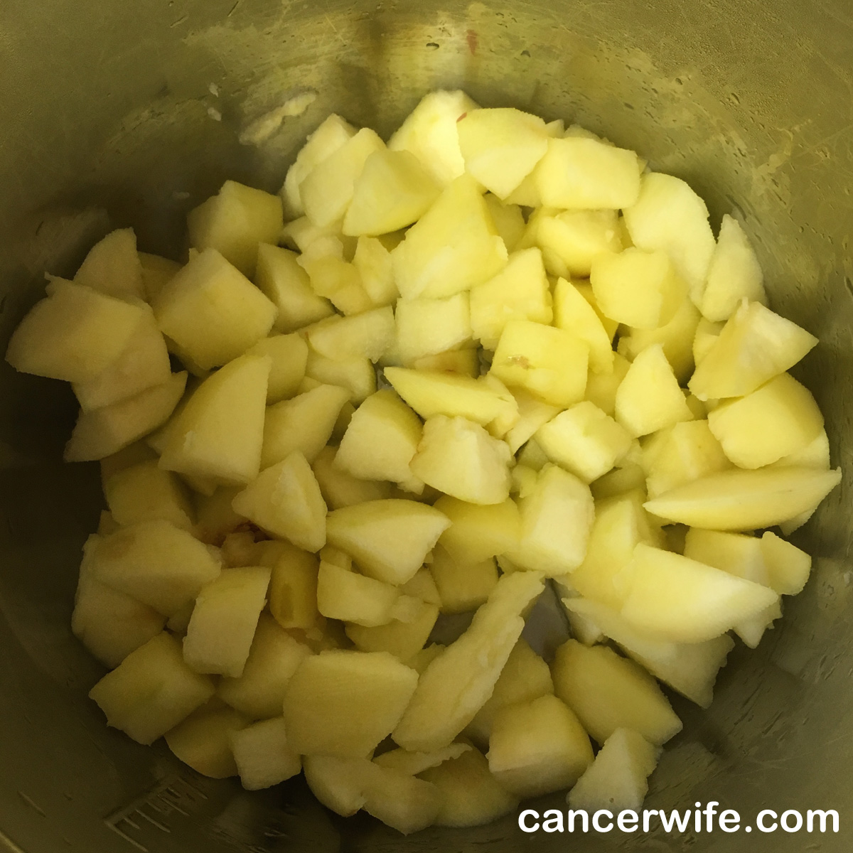instant pot electric pressure cooker applesauce recipe, low omega 6