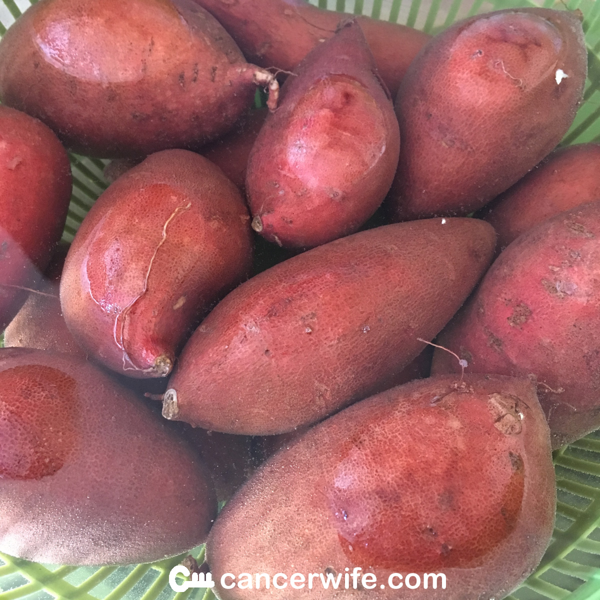 Instant Pot steamed sweet potatoes recipe, yam recipe, healthy and easy recipe
