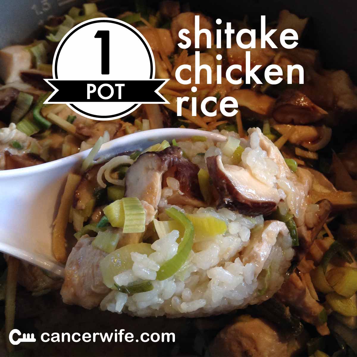 One Pot Shitake Chicken Rice Recipe