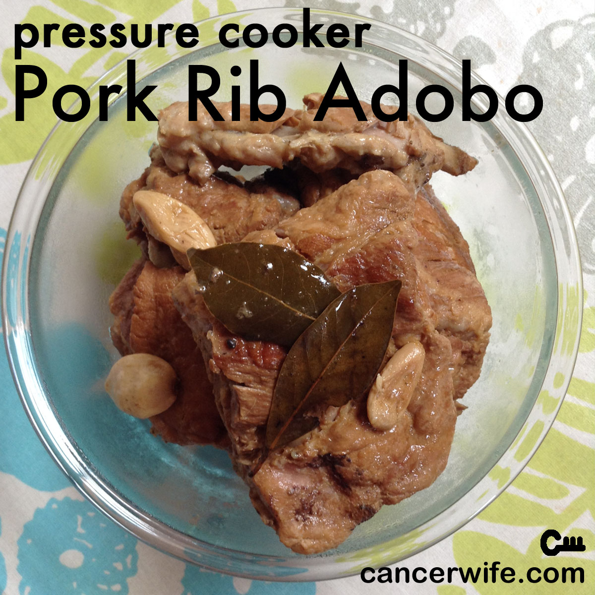 Pressure Cooker Pork Rib Adobo Recipe, Healthy Eating at Home with CancerWife