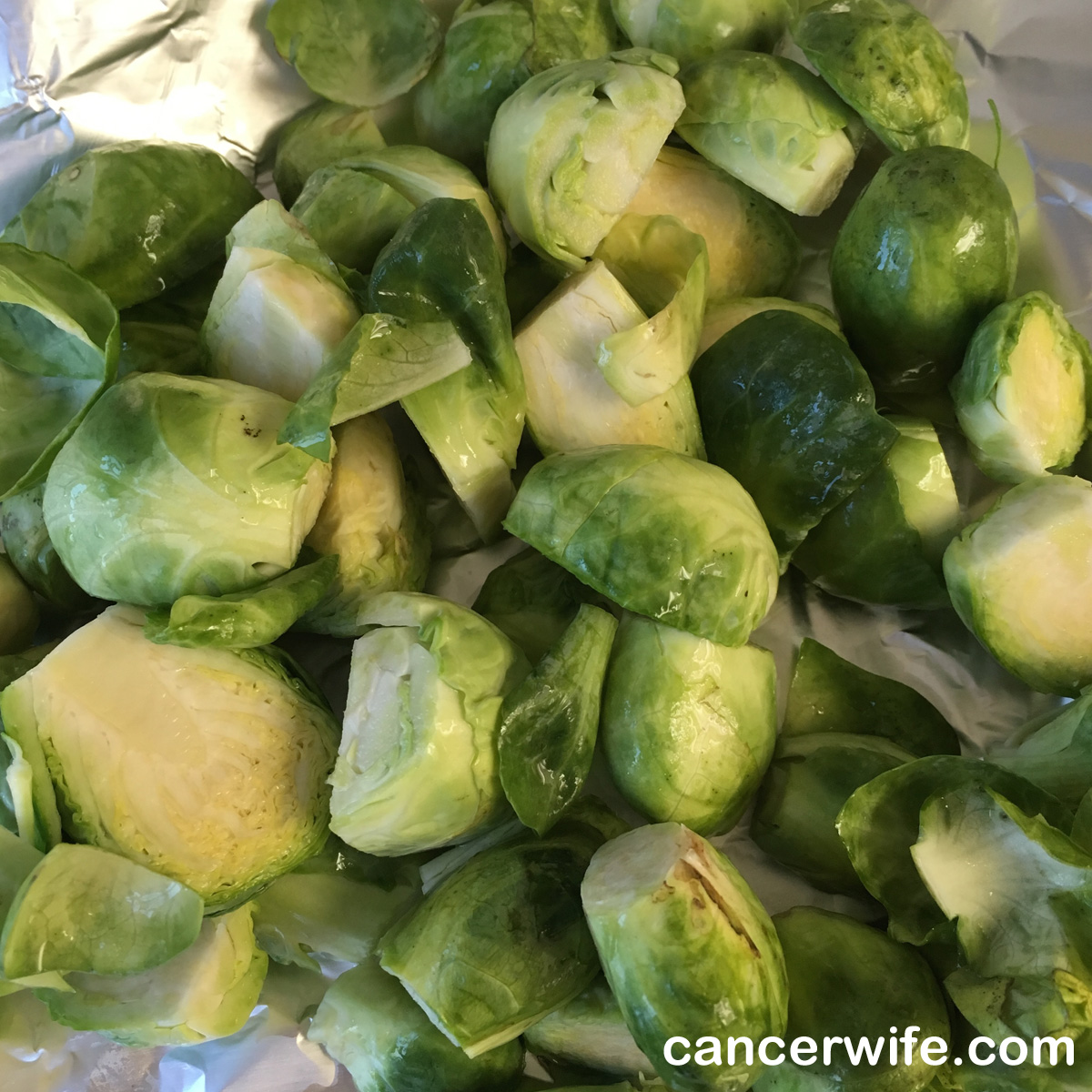 Nuwave Oven roasted brussel sprouts recipe