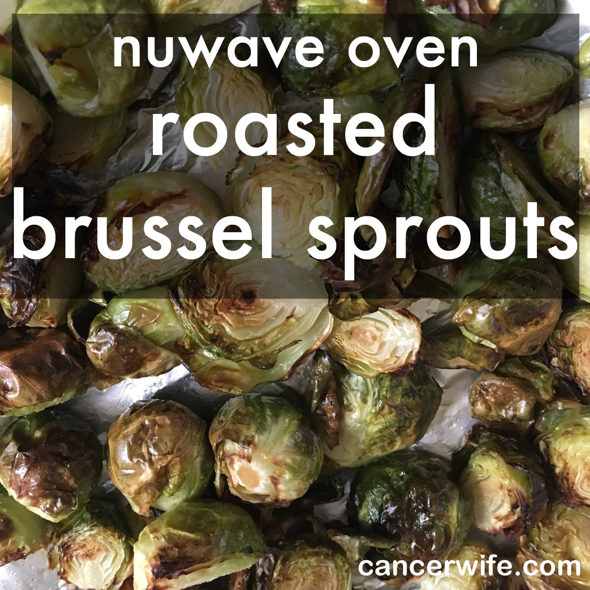 Nuwave Oven roasted brussel sprouts recipe