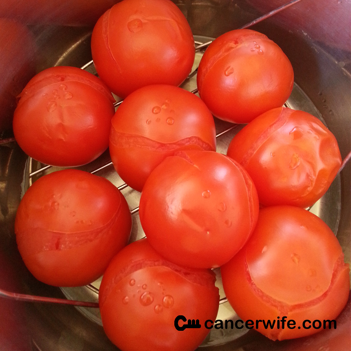 One Pot Pressure Cooker Instant Pot Steamed Tomatoes recipe, Healthy Eating at Home with Cancerwife