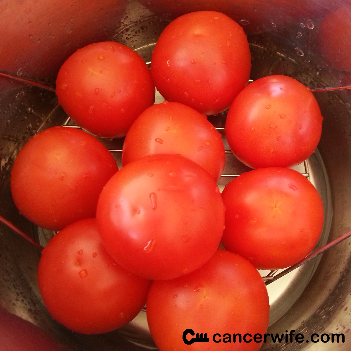 Instant Pot Steamed Tomatoes cancerwife