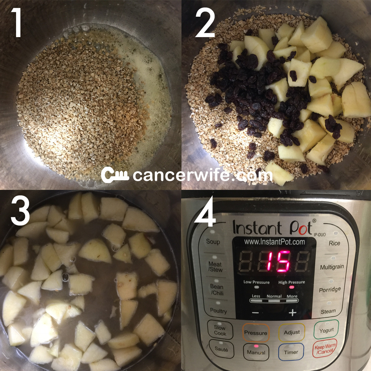 Instant Pot apple raisin steel cut oatmeal recipe, healthy and easy recipe