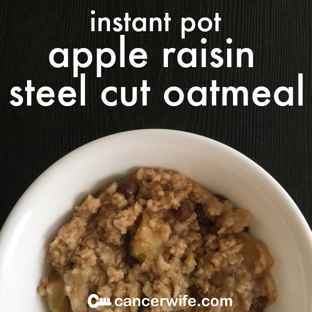 Instant Pot apple raisin steel cut oatmeal recipe, healthy and easy recipe